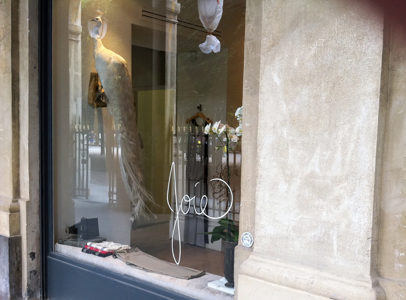 Window at Joie in Paris. Photo by alphacityguides.