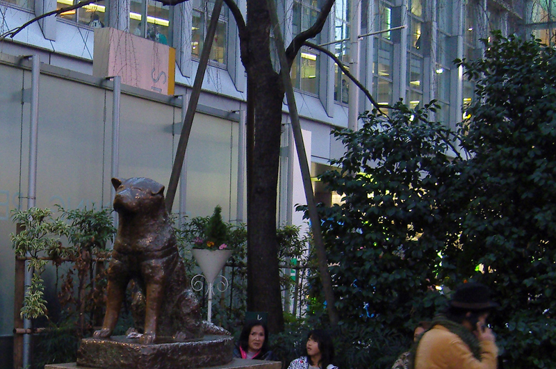 Hachikō the Akita dog statue in Tokyo. Photo by alphacityguides.