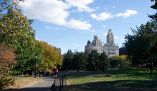 Running path in Central Park in New York. Photo by alphacityguides.