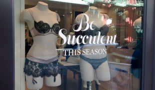 Lingerie display at Journelle in New York. Photo by alphacityguides. Lingerie display at Journelle in New York. Photo by alphacityguides.