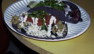 Blue corn tacos from Snack Dragon in New York City. Photo by alphacityguides.