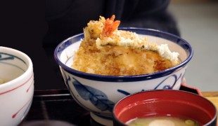 Meal at Yoshinoya in Tokyo. Photo by alphacityguides.