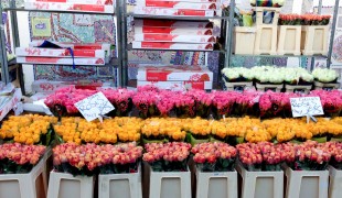 Roses at the Columbia Road Flower Market in London. Photo by alphacityguides.