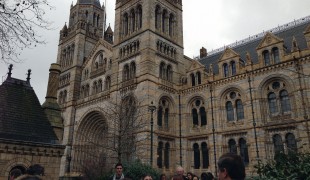 Natural History Museum in London. Photo by alphacityguides.