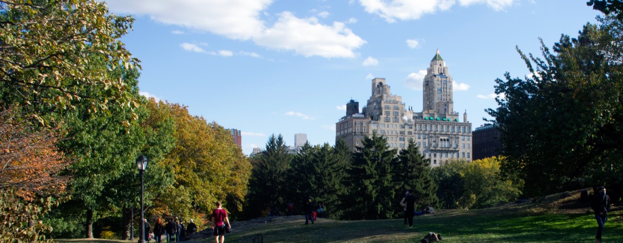 Running path in Central Park in New York. Photo by alphacityguides.