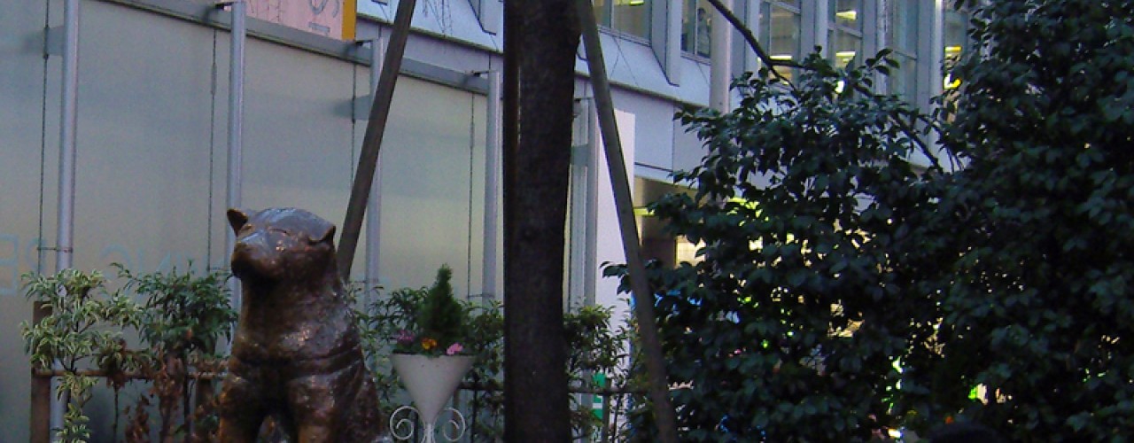 Hachikō the Akita dog statue in Tokyo. Photo by alphacityguides.
