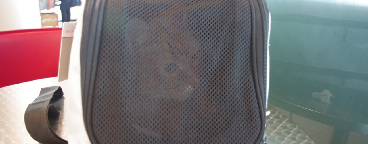 Photo of sleepypod air. 
