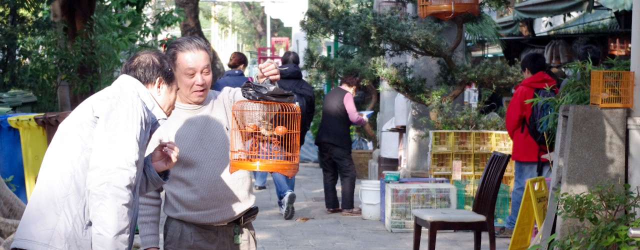 Men at the Bird Garden on Yuen Po Street, Hong Kong. Photo by alphacityguides.