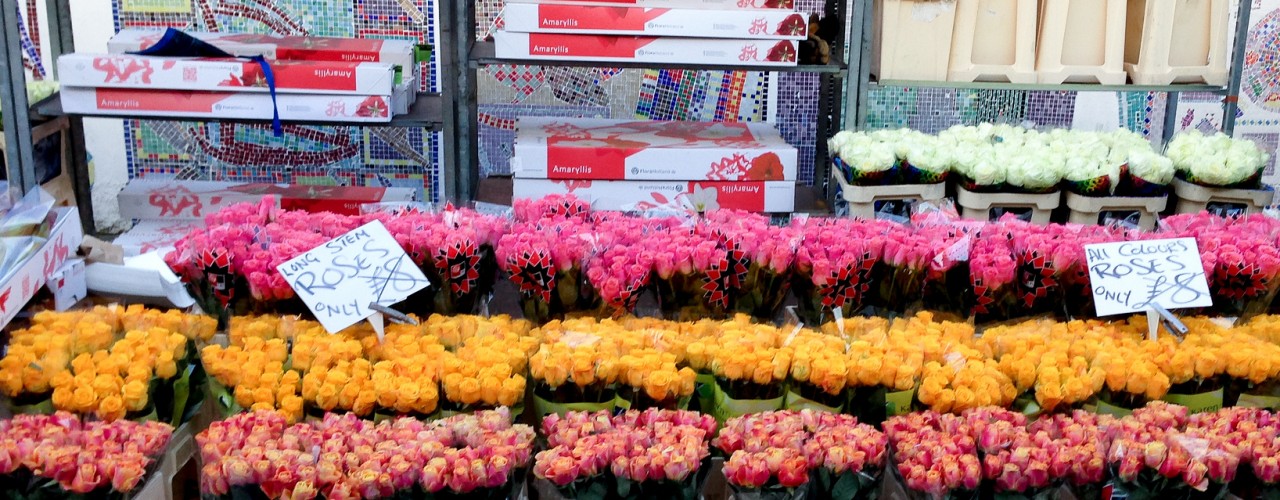 Roses at the Columbia Road Flower Market in London. Photo by alphacityguides.