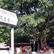 Flower market sign in Hong Kong. Photo by alphacityguides.