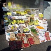 Food vendor at Tsukiji Market in Tokyo. Photo by alphacityguides.