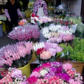 Flowers at the Flower Market in Hong Kong. Photo by alphacityguides.