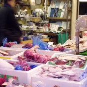 Fish stall at Tsukiji Market in Tokyo. Photo by alphacityguides.