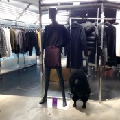 Fashion merchandising display at Opening Ceremony in Tokyo. Photo by alphacityguides.