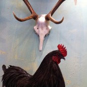 Taxidermy inside Deyrolle in Paris. Photo by alphacityguides.