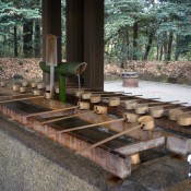 Okiome cleansing station at the Meiji Shrine in Tokyo. Photo by alphacityguides.