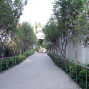 Path to the Bird Market in Hong Kong. Photo by alphacityguides.