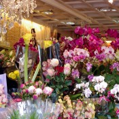 Flowers at the Flower Market in Hong Kong. Photo by alphacityguides.