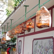 Caged songbirds at the Bird Garden on Yuen Po Street in Hong Kong. Photo by alphacityguides.