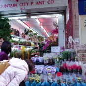 Flowers at the Flower Market in Hong Kong. Photo by alphacityguides.