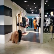 Fashion merchandising display at Opening Ceremony in Tokyo. Photo by alphacityguides.