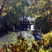 River in Central Park in New York. Photo by alphacityguides.