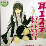 Maid poster in Akihabar, Tokyo. Photo by alphacityguides. 