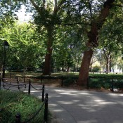 Washington Square Park in New York. Photo by alphacityguides.