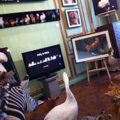 Taxidermy inside Deyrolle in Paris. Photo by alphacityguides.