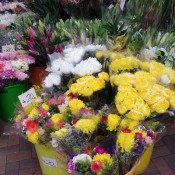 Flowers at the Flower Market in Hong Kong. Photo by alphacityguides.