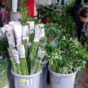 Bamboo at the Flower Market in Hong Kong. Photo by alphacityguides.