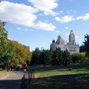 Central Park in New York City. Photo by alphacityguides.
