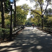Washington Square Park in New York. Photo by alphacityguides.
