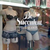 Lingerie window display at Journelle in New York. Photo by alphacityguides.